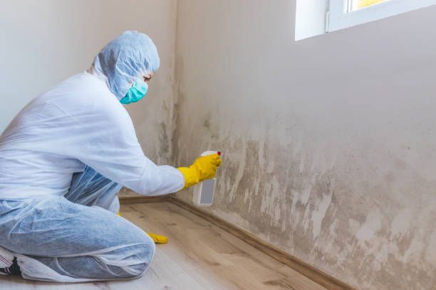 Licensed Mold Testing service in Fleming Island, FL - WQB Mold Removal
